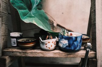 [☕️🇻🇳] BỤI Coffee Chill – Plants 🥤 Top1Coffee ☕️ Những cụm xương rồng được trồng trong những chén cũ cũng bắt đầu ướm bông,
Hoa trắng như quỳnh trong đêm.
“Bụi ” giờ cũng bắt , shares-2✔️ , likes-13❤️️ , date-2023-04-07 14:21:18🇻🇳🇻🇳🇻🇳📰🆕