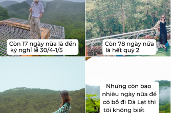 [☕️🇻🇳] Horizon Coffee – Đà Lạt 🥤 Top1Coffee ☕️ Chuyện không của riêng ai =)))
_
Horizon Coffee
Địa chỉ: 31/6 Đường 3/4, Phường 3, Thành phố Đà Lạt, Lâm Đồng
0975663339
, shares-0✔️ , likes-19❤️️ , date-2023-04-13 04:00:03🇻🇳🇻🇳🇻🇳📰🆕