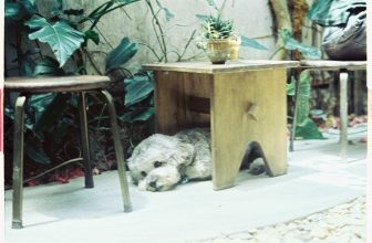 [☕️🇻🇳] BỤI Coffee Chill – Plants 🥤 Top1Coffee ☕️ Đi qua bao bão giông,
Cũng luôn có một lúc được che chở
#mood
, shares-0✔️ , likes-9❤️️ , date-2023-04-19 13:22:13🇻🇳🇻🇳🇻🇳📰🆕