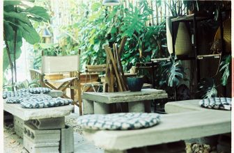 [☕️🇻🇳] BỤI Coffee Chill – Plants 🥤 Top1Coffee ☕️ Who you are tomorrow begins with what you do today
#Mood, shares-0✔️ , likes-7❤️️ , date-2023-04-23 02:48:54🇻🇳🇻🇳🇻🇳📰🆕