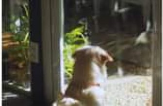 [☕️🇻🇳] KUMO CHAN Coffee and Garden 🥤 Top1Coffee ☕️ 𝕋ô𝕚,
𝔼𝕞,
ℂ𝕙ú𝕟𝕘 𝕥𝕒… ——————————-
…
ようこそ!!!雲ちゃんへ～
KUMO CHAN COFFEE
Open : Mon – Sun: 7:30 – 19:00
Số 3, đư , shares-0✔️ , likes-8❤️️ , date-2023-04-30 03:00:03🇻🇳🇻🇳🇻🇳📰🆕