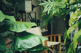 [☕️🇻🇳] BỤI Coffee Chill – Plants 🥤 Top1Coffee ☕️ Có những ngày hè ta âm thầm chịu đựng nắng như cành xanh chấp nhận vươn cao
#Bui #Summer
, shares-0✔️ , likes-24❤️️ , date-2023-05-04 04:40:48🇻🇳🇻🇳🇻🇳📰🆕