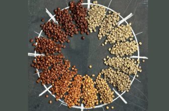 [☕️🇻🇳] EVC Coffee 🥤 Top1Coffee ☕️ Rang là quá trình gia nhiệt cà phê nhân thô để chúng trở thành hạt cà phê mà ta có thể xay nhuyễn, pha chế – Đó là cách diễn đạt , shares-1✔️ , likes-8❤️️ , date-2023-06-13 01:35:21🇻🇳🇻🇳🇻🇳📰🆕