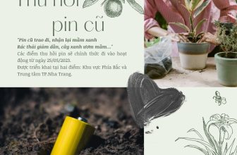 [☕️🇻🇳] BỤI Coffee Chill – Plants 🥤 Top1Coffee ☕️ “PIN CŨ TRAO ĐI, NHẬN LẠI MẦM XANH”Pin cũ trao đi, nhận lại mầm xanh
Rác thải giảm dần, cây xanh ươm mầm…Bạn có biết tác hại , shares-1✔️ , likes-26❤️️ , date-2023-05-15 09:32:14🇻🇳🇻🇳🇻🇳📰🆕