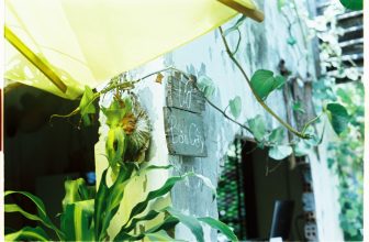 [☕️🇻🇳] BỤI Coffee Chill – Plants 🥤 Top1Coffee ☕️ “Đôi khi ta dựng lên những bức tường không phải để giữ người khác ở bên ngoài, mà để xem ai đủ quan tâm phá vỡ chúng.”[English , shares-0✔️ , likes-9❤️️ , date-2023-05-20 11:28:32🇻🇳🇻🇳🇻🇳📰🆕