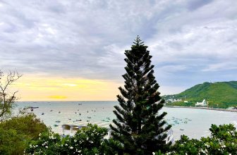 [☕️🇻🇳] The View Hai Dang – Dịch vụ tổ chức tiệc gặp mặt, tiệc mừng của công ty 🥤 Top1Coffee ☕️ Sau cơn mưa trời lại sáng
, shares-0✔️ , likes-18❤️️ , date-2023-06-06 11:06:10🇻🇳🇻🇳🇻🇳📰🆕