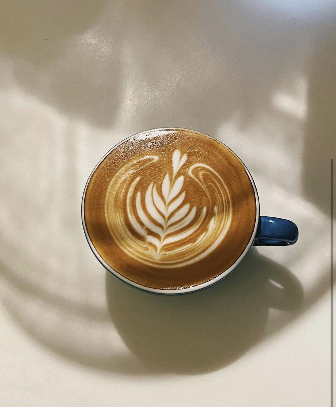 [☕️🇻🇳] 15.22 café – wine – live music ☕️ Top1Coffee ☕️ Nhìn là biết gia chủ yêu ai
@adele
@chupdochupday.sg, shares-1✔️ , likes-17❤️️ , date-2023-06-10 05:08:42🇻🇳🇻🇳🇻🇳📰🆕