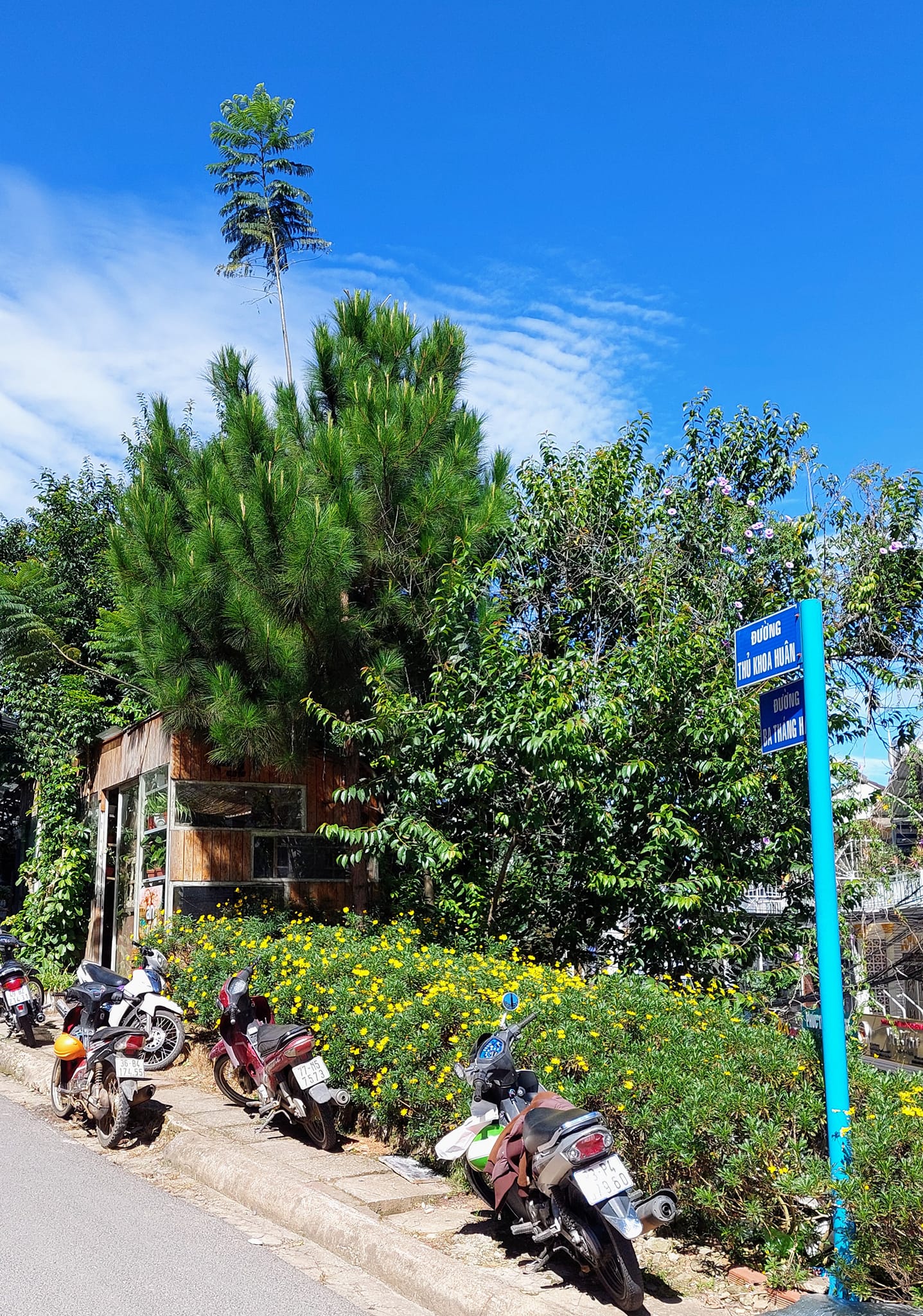 [🐾🇻🇳] FamiPet – Siêu Thị Cho Thú Cưng 🐶 Top1Pets 🐱 – THỨC ĂN HẠT NUTRI PLAN ALLSTAGE PLUS CHO MÈO MỌI LỨA TUỔI—————————- …