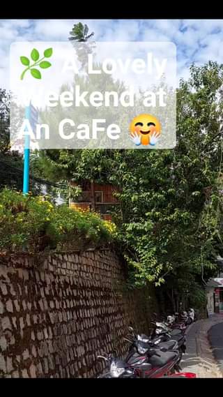 [☕️🇻🇳] An Cafe – Ăn uống và cafe đúng chất Đà Lạt 🥤 Top1Coffee ☕️  , shares-0✔️ , likes-0❤️️ , date-2023-06-16 03:25:17🇻🇳🇻🇳🇻🇳📰🆕