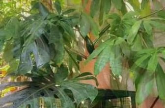 [☕️🇻🇳] BỤI Coffee Chill – Plants 🥤 Top1Coffee ☕️ Mùa hè ở Bụi  —–
Bụi Coffee
𝐀𝐝𝐝: 49 Sao Biển – Vĩnh Hải – TP Nha Trang
𝐅𝐚𝐧𝐩𝐚𝐠𝐞: @buicafee
𝐈𝐧𝐬𝐭𝐚𝐠𝐫𝐚𝐦: @buicoffee_
𝐈𝐃 𝐓𝐢𝐤𝐭 , shares-0✔️ , likes-12❤️️ , date-2023-06-20 06:02:46🇻🇳🇻🇳🇻🇳📰🆕