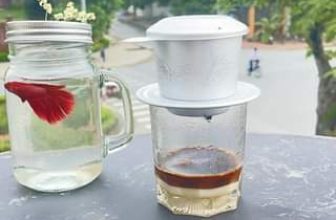 [☕️🇻🇳] Newland Coffee 🥤 Top1Coffee ☕️  , shares-0✔️ , likes-15❤️️ , date-2023-06-29 00:32:37🇻🇳🇻🇳🇻🇳📰🆕