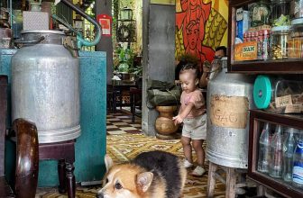 [☕️🇻🇳] NAM house 🥤 Top1Coffee ☕️ ngày chủ nhật
được gặp những người bạn đáng yêu …  __________
NAM house
• open 6:00 – 23:00
• 15/1 le hong phong, da nang
, shares-0✔️ , likes-47❤️️ , date-2023-07-02 03:45:57🇻🇳🇻🇳🇻🇳📰🆕