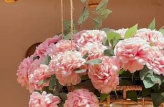 [☕️🇻🇳] Khóm Coffee & Tea 🥤 Top1Coffee ☕️ “Mỗi người đều có một bông hoa của riêng mình, một ngôi sao cho riêng mình, và chẳng có ai giống ai. Người cậu yêu là độc nhất,  , shares-0✔️ , likes-0❤️️ , date-2023-07-04 12:55:14🇻🇳🇻🇳🇻🇳📰🆕