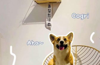 [☕️🇻🇳] Hạ An Corner – Trà – Bánh – Cafe – Piano 🥤 Top1Coffee ☕️ Tinh hoa hội tụ
Phụ nữ gất iuuuu𝗛𝗮̣ 𝗔𝗻 𝗖𝗼𝗿𝗻𝗲𝗿
[𝒯𝓇𝒶̀ – ℬ𝒶́𝓃𝒽 – 𝒞𝒶̀ 𝒫𝒽ℯ̂ – 𝒫𝒾𝒶𝓃ℴ]
———————
41/6 Đồng Xoài,  , shares-0✔️ , likes-18❤️️ , date-2023-07-09 07:06:37🇻🇳🇻🇳🇻🇳📰🆕