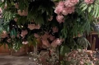 [☕️🇻🇳] Khóm Coffee & Tea 🥤 Top1Coffee ☕️ “Some flowers bloom at night when everyone is asleep.”
“Một vài bông hoa nở vào ban đêm khi tất cả đang ngủ. ”Được dịch từ Tiếng , shares-0✔️ , likes-0❤️️ , date-2023-07-18 13:36:35🇻🇳🇻🇳🇻🇳📰🆕