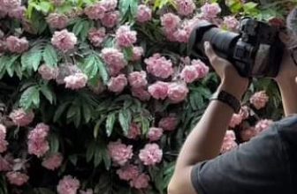 [☕️🇻🇳] Khóm Coffee & Tea 🥤 Top1Coffee ☕️ “When you can’t find the sunshine, be the sunshine.”
“Khi bạn không thể tìm thấy ánh nắng mặt trời, hãy là ánh nắng mặt trời. ”Đ , shares-0✔️ , likes-0❤️️ , date-2023-08-06 05:31:13🇻🇳🇻🇳🇻🇳📰🆕