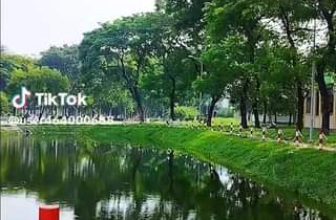 [☕️🇻🇳] KUMO CHAN Coffee and Garden 🥤 Top1Coffee ☕️ 1 con đường khác vào #KUMOCHAN theo hướng công viên Cao Đức Lân cũng rất thơ mộng bạn ạ. Rợp bóng cây xanh, có hồ nước long lanh , shares-0✔️ , likes-0❤️️ , date-2023-08-04 02:24:59🇻🇳🇻🇳🇻🇳📰🆕