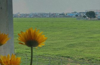 [☕️🇻🇳] Phen’s Coffee 🥤 Top1Coffee ☕️ Vài thứ xinh xẻo
. dặn.nhau.sống.tử.tế
, shares-0✔️ , likes-13❤️️ , date-2023-09-02 03:50:00🇻🇳🇻🇳🇻🇳📰🆕