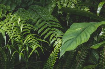 [☕️🇻🇳] BỤI Coffee Chill – Plants 🥤 Top1Coffee ☕️ Quán LowKey nên suốt ngày Lau Cây
—–
Bụi Coffee
𝐀𝐝𝐝: 49 Sao Biển – Vĩnh Hải – TP Nha Trang
𝐅𝐚𝐧𝐩𝐚𝐠𝐞: @buicafee
𝐈𝐧𝐬𝐭𝐚𝐠𝐫𝐚𝐦:  , shares-0✔️ , likes-28❤️️ , date-2023-08-15 09:28:42🇻🇳🇻🇳🇻🇳📰🆕