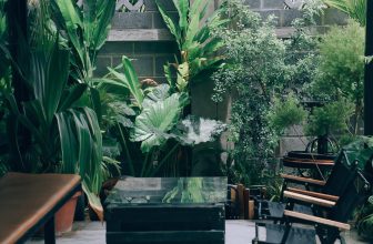 [☕️🇻🇳] 𝐋𝐚 𝐑𝐞̂𝐯𝐞𝐮𝐬𝐞🥤 Top1Coffee ☕️ “ bỗng một hôm tựa lưng mệt mỏi ngắm nhìn bầu trời
… Ta mơ về bản thân của những năm tháng cũ kĩ.”
#mơ
, shares-4✔️ , likes-73❤️️ , date-2023-08-16 05:37:59🇻🇳🇻🇳🇻🇳📰🆕