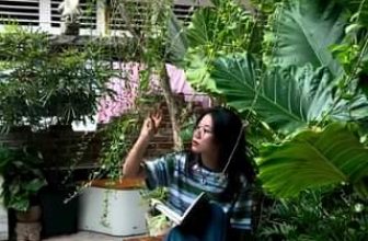 [☕️🇻🇳] Oromia Coffee – Lounge🥤 Top1Coffee ☕️  , shares-0✔️ , likes-0❤️️ , date-2023-08-28 03:14:11🇻🇳🇻🇳🇻🇳📰🆕