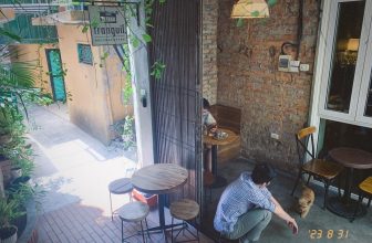 [☕️🇻🇳] Tranquil Books & Coffee –  cafe sách đẹp 🥤 Top1Coffee ☕️ Tất cả tại mùa thu.
, shares-2✔️ , likes-127❤️️ , date-2023-08-31 04:59:45🇻🇳🇻🇳🇻🇳📰🆕