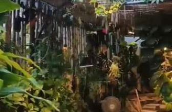 [☕️🇻🇳] BỤI Coffee Chill – Plants 🥤 Top1Coffee ☕️ Rainy day
Ngày mưa Được dịch từ Tiếng Anh
, shares-0✔️ , likes-0❤️️ , date-2023-09-09 09:35:59🇻🇳🇻🇳🇻🇳📰🆕