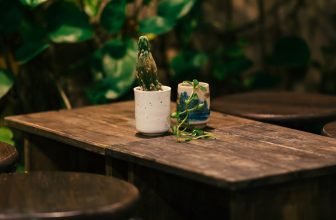 [☕️🇻🇳] BỤI Coffee Chill – Plants 🥤 Top1Coffee ☕️ Hôm nay bạn có mệt không?
Mỉm cười một cái, cho lòng bình yên.. —–
Bụi Coffee
𝐀𝐝𝐝: 49 Sao Biển – Vĩnh Hải – TP Nha Trang
𝐅 , shares-0✔️ , likes-20❤️️ , date-2023-09-11 10:00:03🇻🇳🇻🇳🇻🇳📰🆕