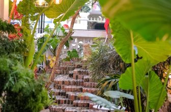 [☕️🇻🇳] Oromia Coffee – Lounge🥤 Top1Coffee ☕️ Sài Gòn vào thu, nắng mưa xen kẽ
Dù thời tiết có hơi ẩm ương thì Oromia vẫn là nơi cafe lí tưởng.
Tụi mình thật sự rất rộng rãi , shares-1✔️ , likes-15❤️️ , date-2023-09-07 14:15:26🇻🇳🇻🇳🇻🇳📰🆕