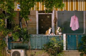 [☕️🇻🇳] Oromia Coffee – Lounge🥤 Top1Coffee ☕️ “Có 2 con mèo ngồi bên cửa sổ”
Ver : Hàng xóm Oromia.
, shares-1✔️ , likes-120❤️️ , date-2023-09-11 14:52:37🇻🇳🇻🇳🇻🇳📰🆕