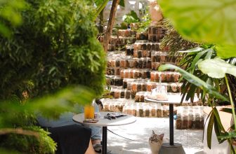 [☕️🇻🇳] Oromia Coffee – Lounge🥤 Top1Coffee ☕️ “Khách” này mặt hơi khó chịu, có vẻ đang nghịch cây thiên điểu, có điều xinh nên quán bỏ qua được hết nha
, shares-17✔️ , likes-727❤️️ , date-2023-09-16 04:47:39🇻🇳🇻🇳🇻🇳📰🆕