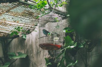 [☕️🇻🇳] BỤI Coffee Chill – Plants 🥤 Top1Coffee ☕️ “Bình yên đơn giản lắm,
mở mắt ra thấy người mình thương,
nhắm mắt lại thấy người thương mình.” —–
Bụi Coffee
𝐀𝐝𝐝: 49 Sa , shares-0✔️ , likes-10❤️️ , date-2023-09-16 09:00:03🇻🇳🇻🇳🇻🇳📰🆕