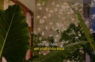 [☕️🇻🇳] Oromia Coffee – Lounge🥤 Top1Coffee ☕️ Cuối tuần mà mưa, Tự an ủi bản thân xíu xiu
, shares-0✔️ , likes-0❤️️ , date-2023-09-17 11:39:32🇻🇳🇻🇳🇻🇳📰🆕