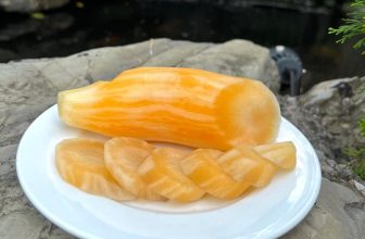 [☕️🇻🇳] Newland Coffee 🥤 Top1Coffee ☕️ Khoai sâm (sâm đất) giúp thanh nhiệt giải độc  đã có mặt tại quầy hàng hoa quả tại Newland Coffee.Củ sâm đất có ruột bên trong , shares-0✔️ , likes-9❤️️ , date-2023-09-19 12:48:46🇻🇳🇻🇳🇻🇳📰🆕