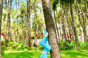 [🆕🇻🇳] Yoga Luna Thái Đông Anh 🧘 Top1Yoga 🧘 10 lợi ích không ngờ của việc tập Yoga
Làm khoẻ hệ thần kinh
Lưu thông máu giúp da đẹp hồng hào
Cân bằng huyết áp
Tăng khả năng tập trung cho não bộ giúp  , shares-0✔️ , likes-6❤️️ , date-2023-09-26 23:28:25🇻🇳🇻🇳🇻🇳📰🆕