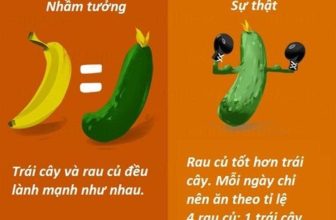 [🆕🇻🇳] Yoga Luna Thái Đông Anh 🧘 Top1Yoga 🧘 Nhiều người ăn kiêng nhưng không giảm được cân vì một số nhầm tưởng dưới đây.
Hãy cùng Phương tìm hiểu xem đó là những sai lầm gì và đâu mới là sự thật gi , shares-0✔️ , likes-1❤️️ , date-2023-10-11 23:37:14🇻🇳🇻🇳🇻🇳📰🆕