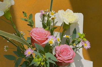 [☕️🇻🇳] Le Petit Cafe’ 🥤 Top1Coffee ☕️ Xin chào các Sunshines, đến tận hôm nay bọn mình mới xuất hiện lại để đăng một vài hình ảnh gom góp từ cả ngày hôm qua, 20/10, v , shares-2✔️ , likes-18❤️️ , date-2023-10-21 07:15:55🇻🇳🇻🇳🇻🇳📰🆕