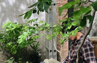 [☕️🇻🇳] Nhã Nam Books N’ Coffee 🥤 Top1Coffee ☕️ “Chẳng có cuộc đời nào chỉ toàn hạnh phúc bất tận. Và nếu như cứ cho rằng cuộc đời như thế có tồn tại thì chỉ càng cảm thấy mình , shares-2✔️ , likes-44❤️️ , date-2023-10-22 09:01:10🇻🇳🇻🇳🇻🇳📰🆕