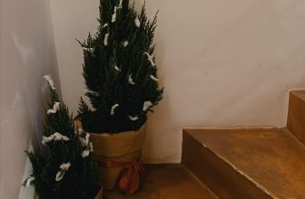 [☕️🇻🇳] Le Petit Cafe’ 🥤 Top1Coffee ☕️ POWER OUTAGE Thông Báo Cúp Điện Quán xin thông báo hiện tại do lịch sửa chữa đường dây điện tại khu vực nên tại quán bọn mình CH , shares-0✔️ , likes-8❤️️ , date-2023-11-25 06:11:00🇻🇳🇻🇳🇻🇳📰🆕