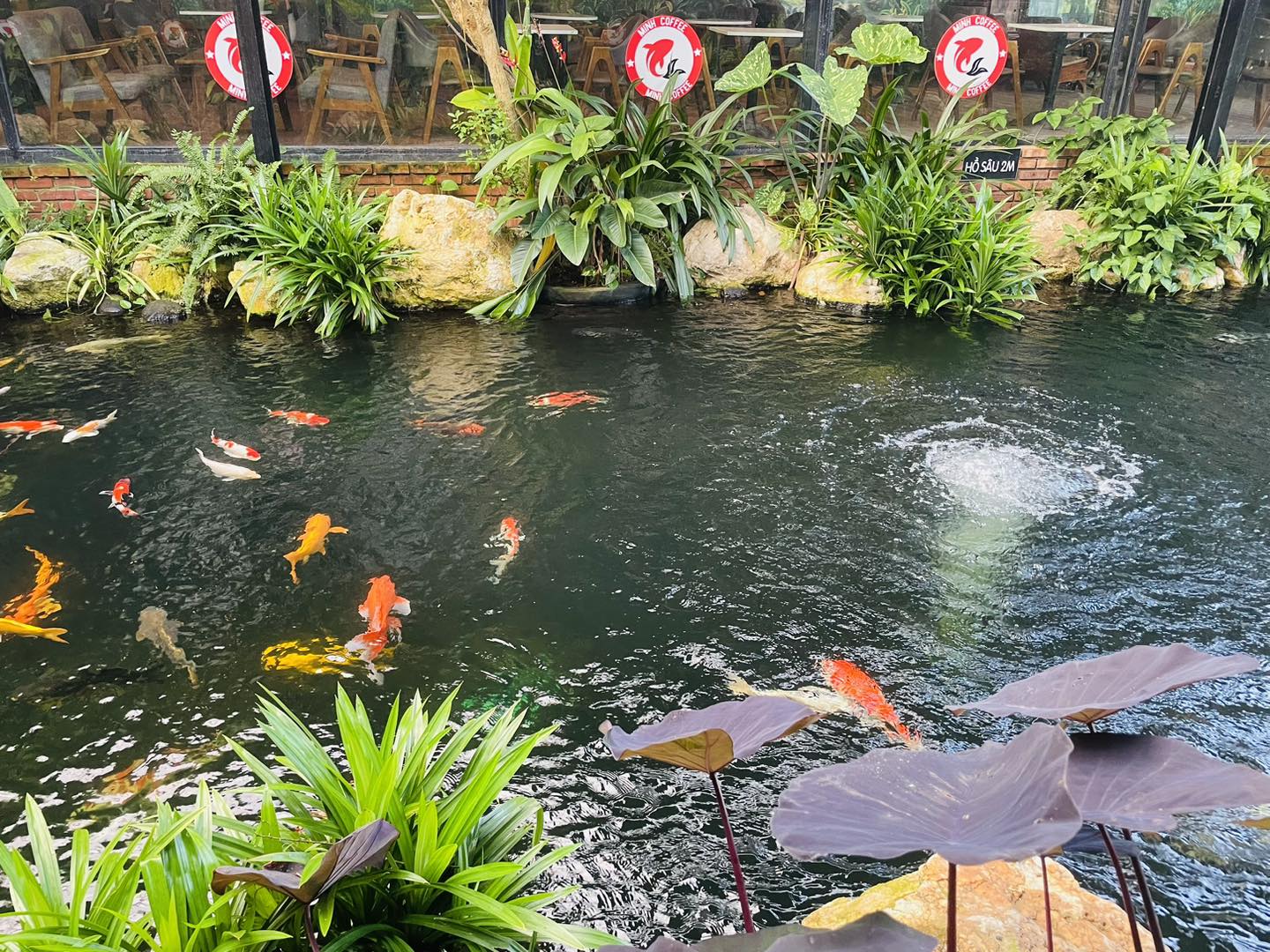 [☕️🇻🇳]  Minh Coffee 🥤 Top1Coffee ☕️ Minh Coffee sáng thứ tư, shares-0✔️ , likes-49❤️️ , date-2023-12-13 01:10:25🇻🇳🇻🇳🇻🇳📰🆕