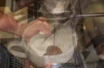 [☕️🇻🇳] Saigon Coffee Roastery 🥤 Top1Coffee ☕️ Slayer Espresso Machine intro….. !
…….
………
#saigoncoffee #saigon #saigoncoffeeroastery #slayerespressomachine #sla , shares-0✔️ , likes-38❤️️ , date-2018-11-12 05:16:01🇻🇳🇻🇳🇻🇳📰🆕