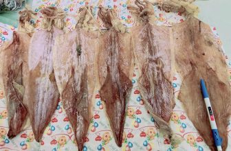 [🆕🇻🇳] MẮM HUẾ 🍔 Top1Food 🍜 6 con mực khô size to 1 con dài 30cm như hình ảnh 600k.( tinh ra 1 con 100k quá rẻ) mực bao ngon bao ngọt nha. Mực thơm nức mui.Ngon nhức nách. Ai cần ăn n , shares-0✔️ , likes-2❤️️ , date-2024-01-01 01:24:33🇻🇳🇻🇳🇻🇳📰🆕