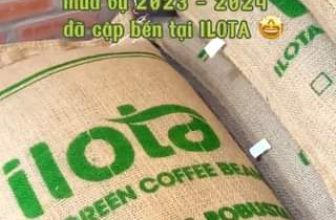 [☕️🇻🇳] ILOTA Coffee Roasters – Cafe rang xay 🥤 Top1Coffee ☕️ Cà phê nhân xanh mùa vụ 2023 – 2024 đã cập bến tại 𝗜𝗟𝗢𝗧𝗔
#caphenguyenchatrangmoc #ILOTACoffeeRoaster #ARABICA #ROBUSTA
, shares-0✔️ , likes-0❤️️ , date-2024-01-05 12:00:50🇻🇳🇻🇳🇻🇳📰🆕