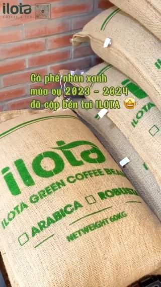 Cà phê nhân xanh mùa vụ 2023 - 2024 đã cập bến tại 𝗜𝗟𝗢𝗧𝗔
#caphenguyenchatrangmoc #ILOTACoffeeRoaster #ARABICA #ROBUSTA