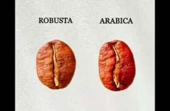 [☕️🇻🇳] ILOTA Coffee Roasters – Cafe rang xay 🥤 Top1Coffee ☕️ 𝐑𝐎𝐁𝐔𝐒𝐓𝐀 & 𝐀𝐑𝐀𝐁𝐈𝐂𝐀  #ilota #coffee #ARABICA #ROBUSTA
, shares-0✔️ , likes-0❤️️ , date-2024-01-12 12:30:17🇻🇳🇻🇳🇻🇳📰🆕