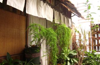 [☕️🇻🇳] 15.22 café – wine – live music 🥤 Top1Coffee ☕️ 𝐻𝐴̣𝑁𝐻 𝑃𝐻𝑈́𝐶, 𝑙𝑎̀ 𝑡𝑟𝑎̣𝑛𝑔 𝑡ℎ𝑎́𝑖 𝑏𝑎̆̀𝑛𝑔 𝑙𝑜̀𝑛𝑔 𝑐𝑢̉𝑎 𝑛𝑜̣̂𝑖 𝑡𝑎̂𝑚.𝑚𝑜̂̃𝑖 𝑛𝑔𝑢̛𝑜̛̀𝑖 𝑐𝑜́ 𝑚𝑜𝑛𝑔 𝑚𝑢𝑜̂́𝑛 𝑘ℎ𝑎́𝑐 𝑛ℎ𝑎𝑢 𝑛𝑒̂𝑛 𝑚𝑢̛́𝑐 𝑏𝑎̆̀𝑛𝑔 𝑙𝑜̀𝑛𝑔 𝑐 , shares-0✔️ , likes-37❤️️ , date-2024-03-27 00:19:16🇻🇳🇻🇳🇻🇳📰🆕