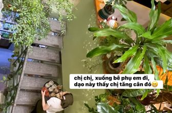 [☕️🇻🇳] 15.22 café – wine – live music 🥤 Top1Coffee ☕️ – đi làm thích không?  – không nhé! ai cũng thích ở không để nói chuyện ước mơ mà vẫn có xiềng xài  – nhưng ai cũng cần đi làm.  , shares-4✔️ , likes-279❤️️ , date-2024-03-30 01:31:00🇻🇳🇻🇳🇻🇳📰🆕