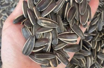 [🆕🇻🇳] Hiền Vinh Hvkids  (Xưởng may HV Kids) 😎❤️️⭐️ HẠT HƯỚNG DƯƠNG Hạt hướng dương chuẩn đã qua tuyển chọn loại ngon tròn chắc hạt, ăn bùi béo thấm vị. Chứ ko như hàng tràn lan ké , shares-0✔️ , likes-2❤️️ , date-2024-01-20 14:24:06🇻🇳🇻🇳🇻🇳📰🆕