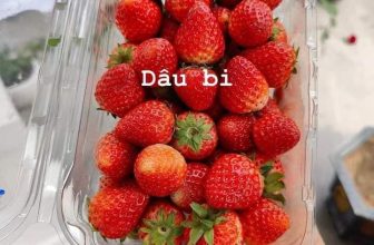 [🆕🇻🇳] Hiền Vinh Hvkids  (Xưởng may HV Kids) 😎❤️️⭐️ Dâu hôm nay e hết mai về tiếp nhé
Dâu lại giảm rồi cả nhà ơi, cả nhà tranh thủ mua đi ạ
Dâu tây  đúng vụ  ngon ngọt mà giá lạ , shares-0✔️ , likes-8❤️️ , date-2024-01-20 14:33:45🇻🇳🇻🇳🇻🇳📰🆕