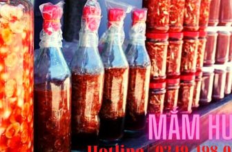 [🆕🇻🇳] MẮM HUẾ 🍔 Top1Food 🍜 LÌ XÌ TẾT 2024
…
Shop tặng 200g mứt gừng Huế cho đơn hàng từ 300k bất kì.
Cảm ơn quý khách hàng!
, shares-0✔️ , likes-6❤️️ , date-2024-01-26 08:57:38🇻🇳🇻🇳🇻🇳📰🆕